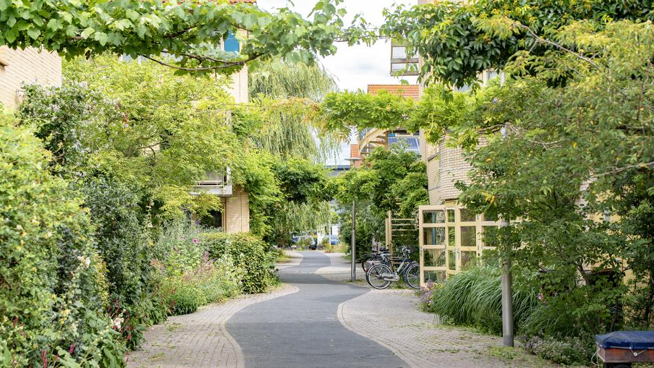 Voetpad/fietspad in woonwijk met veel groen