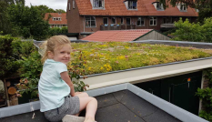 Kind op dak, Foto: Hanna van den Dool