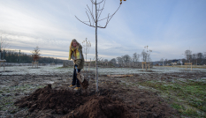 Bewoonster en klimaatburgemeester Annelies Vermeulen plant boom op het Sedumveld in Bunnik