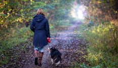 wandelen met de hond Noorderpark Ruigenhoek
