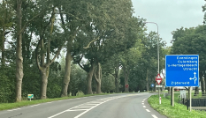 Bord op de N484