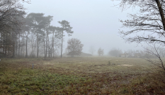 De locatie waar vroeger de brandkazerne van vliegbasis Soesterberg stond, moet gesaneerd worden.