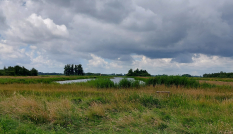 Foto van een graslandschap