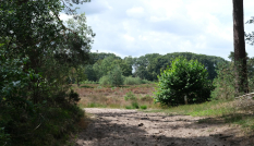 Natuur