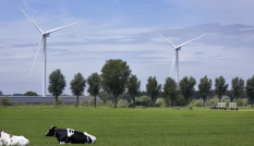 Windmolens Autena Vianen