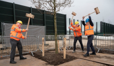 boomplanten opening rondweg-oost