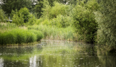 Inundatiekanaal LaagRaven