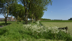 Boerderij Geerenweg, Eemnes