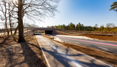 Ecoduct Maarsbergen in april 2025