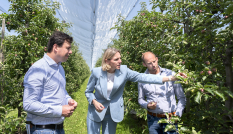Mirjam Sterk bij fruitteler