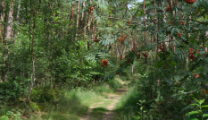 Landgoed Den Treek Leusden