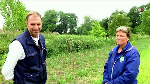 Provincie ondersteunt aanleg houtwal en andere kleine landschapselementen