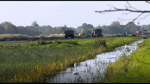 Ingericht voor topnatuur: Oostelijke Vechtplassen