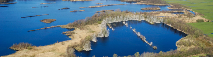 luchtfoto-natuurgebied-botshol.jpg