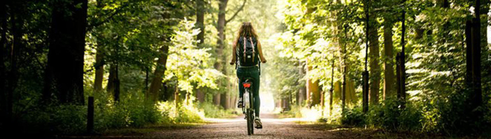 Fietser in bos