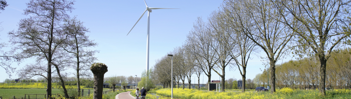 landweg met windmolen