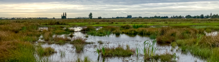 Schraallanden langs de Meije 