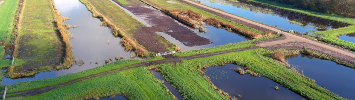 Oostelijke Vechtplassen - Westbroekse Zodden