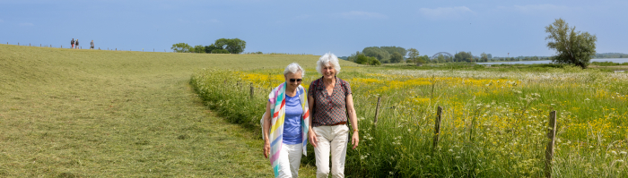 Twee vrouwen wandelen bij de Lekdijk, Tull en 't Waal