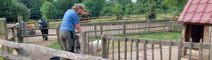 Boerderij de Zonnewijzer met boerin Miranda