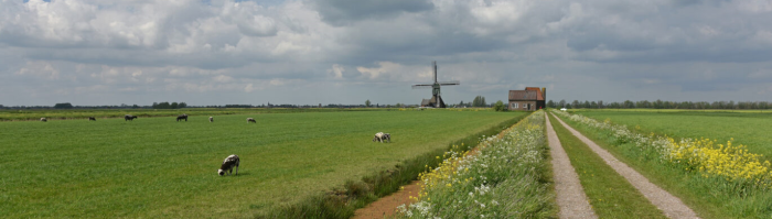 Utrechtse Waarden
