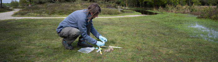 Vrijwilliger Zoogdiervereniging monitor Wolf