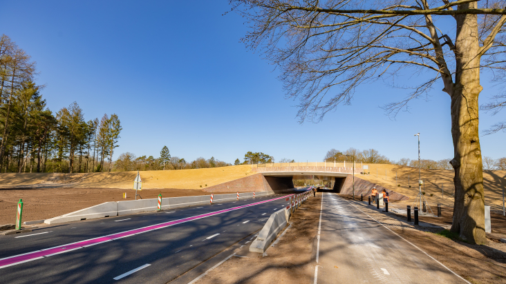 Ecoduct N226 Maarsbergen 