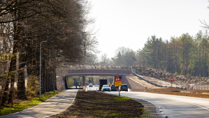 Ecoduct N226 Maarsbergen met verkeer