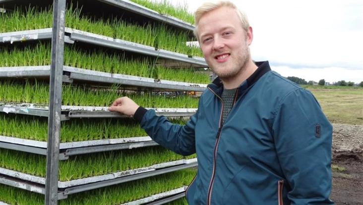 Man staat voor stellage met lisdoddeplantjes