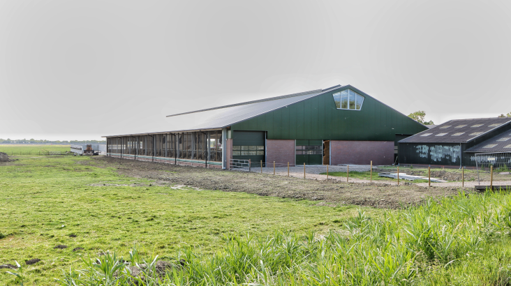 Stal melkveehouderij Baambrugge