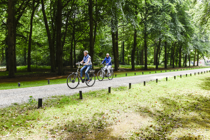 Fietsend stel op een bospad in de zomerzon