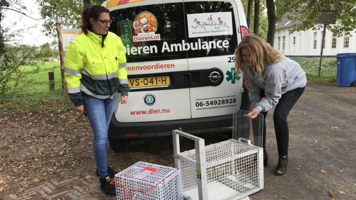 Dierenambulance met vrijwilliger