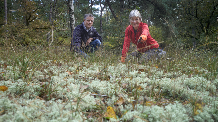 natuurgebieddezoom2.jpg