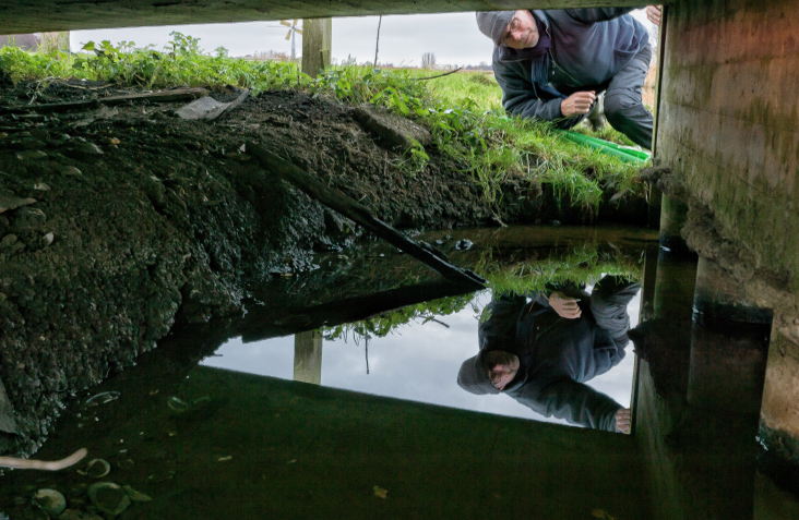 © Ellen van den Adel persoon speurt naar ottersporen