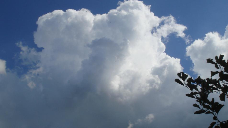 Schone lucht