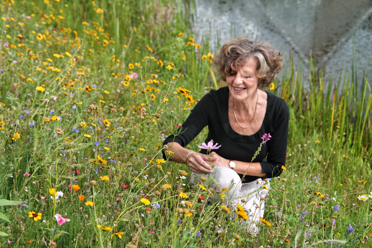 Mevrouw in veld vol bloemen