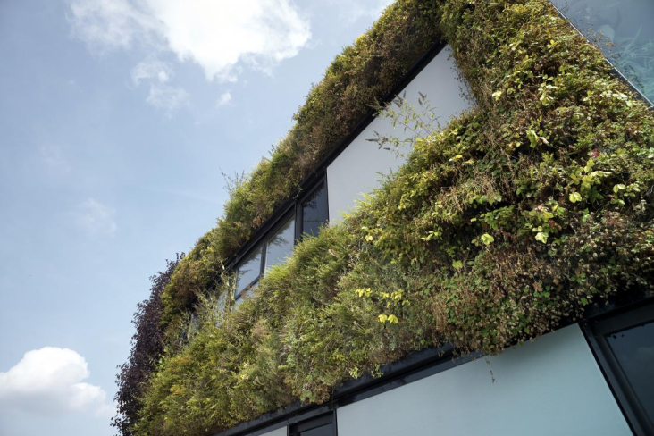 Klimaatadaptatie