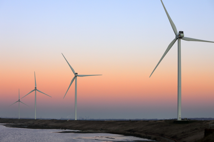 © NP RES/ Branko de Lang Ter illustratie: Maasvlakte