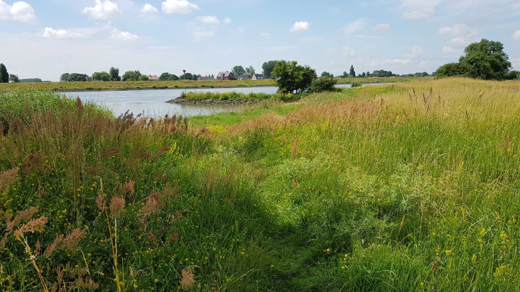 DIjk met uitzicht op water