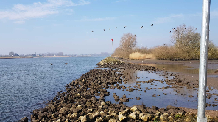 Langs het water