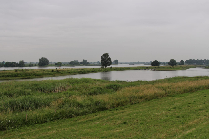 Polderlandschap