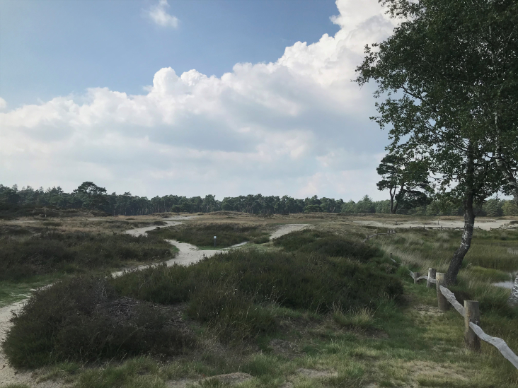 Heidevelden