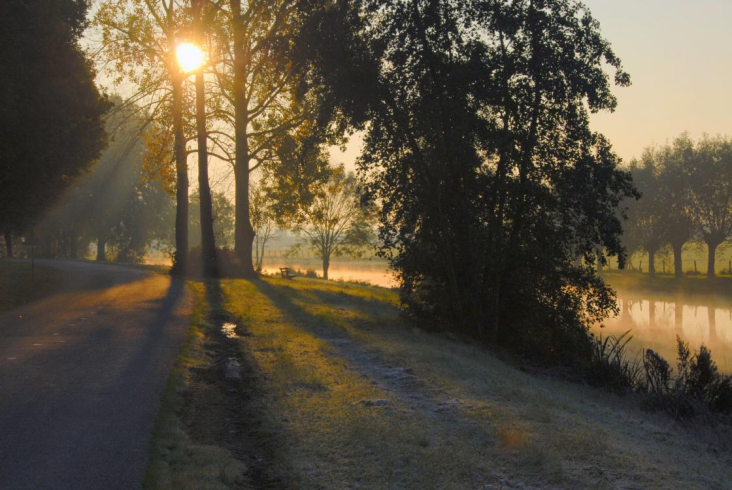 Herfst