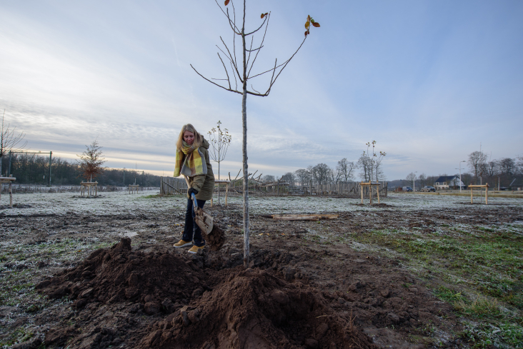 Bewoonster en klimaatburgemeester Annelies Vermeulen plant boom op het Sedumveld in Bunnik
