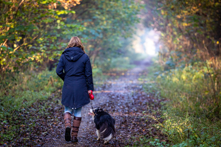 wandelen met de hond Noorderpark Ruigenhoek