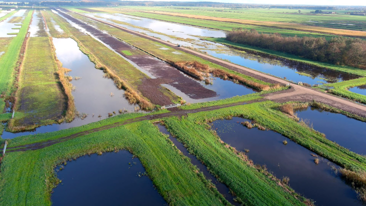 Oostelijke Vechtplassen - Westbroekse Zodden