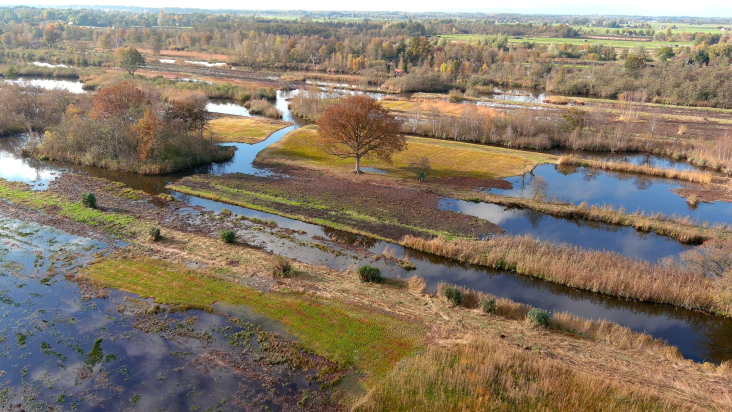 Molenpolder, Oostelijke Vechtplassen