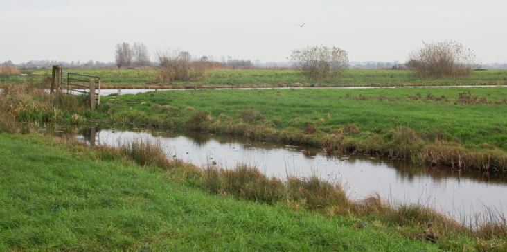 Weiland en sloten