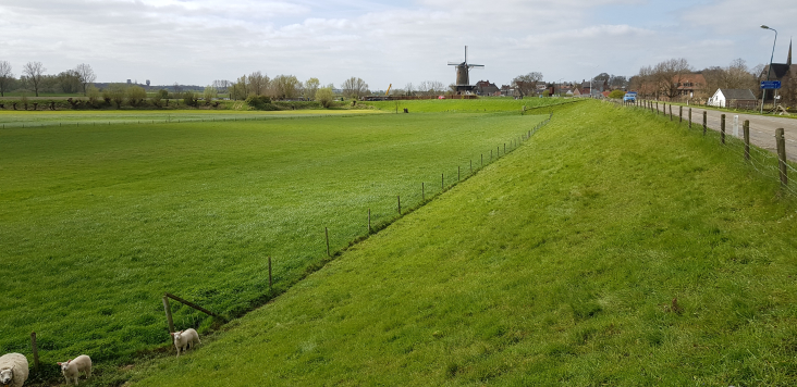 Lunenburgerwaard bij Wijk bij Duurstede