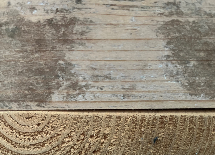 Hout dat geschikt is voor hergebruik